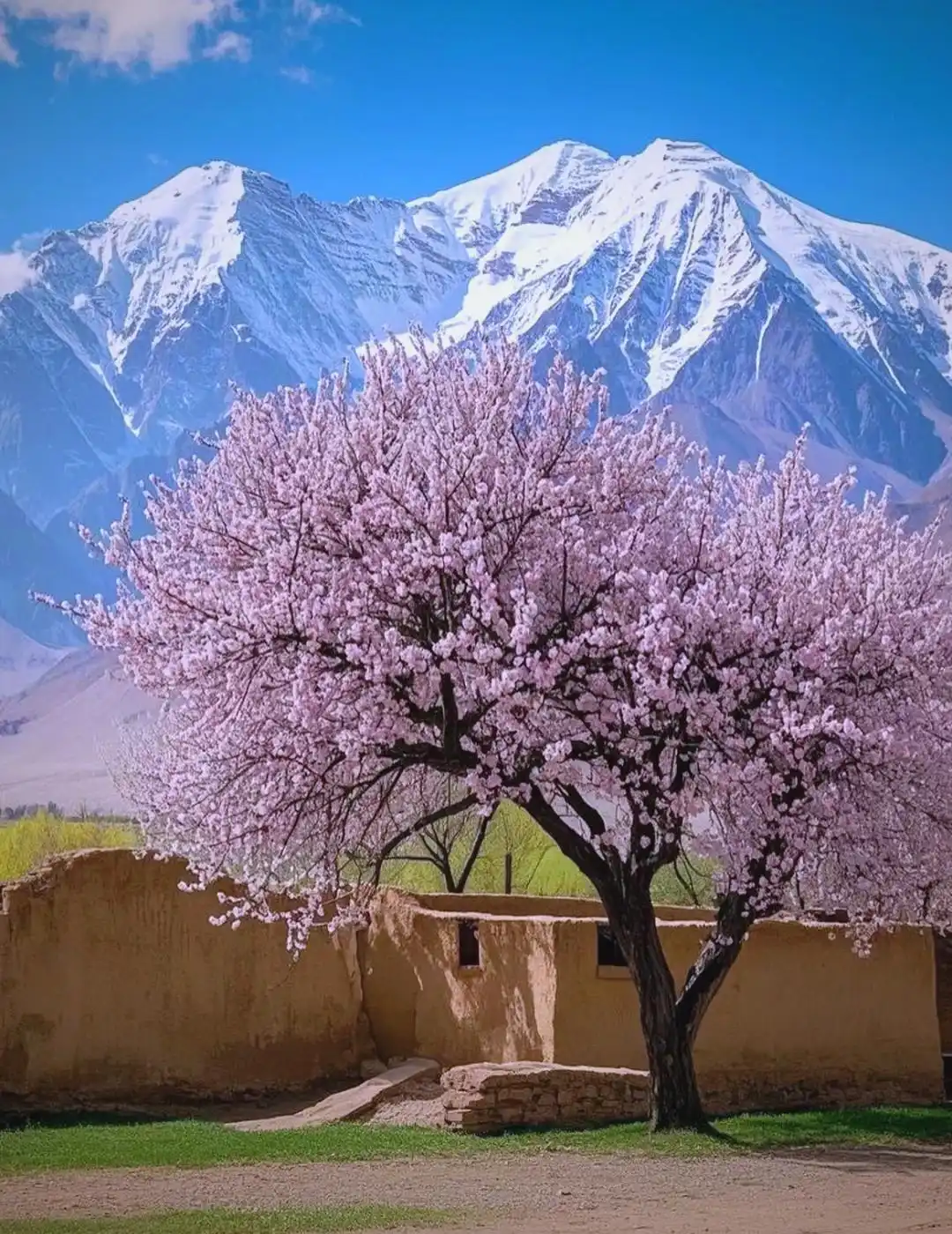 travel-image