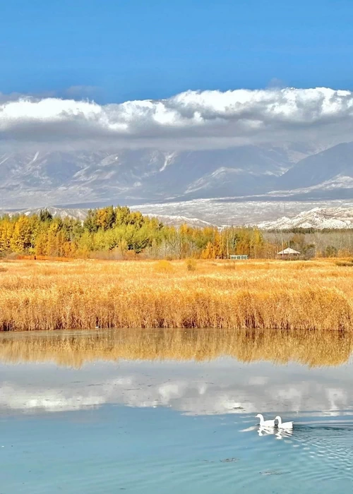 travel-image