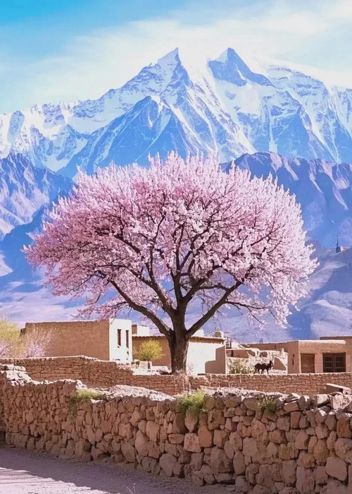 travel-image