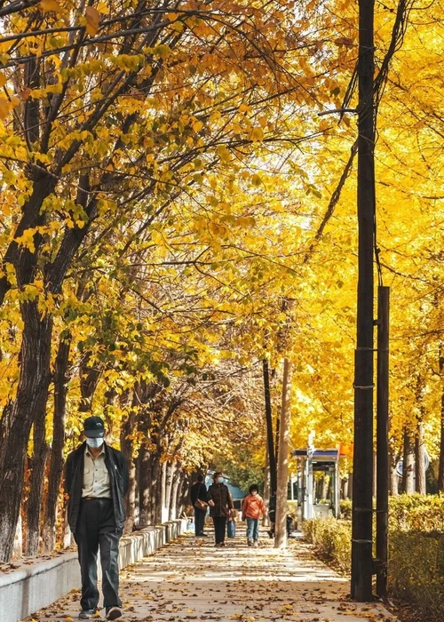 travel-image